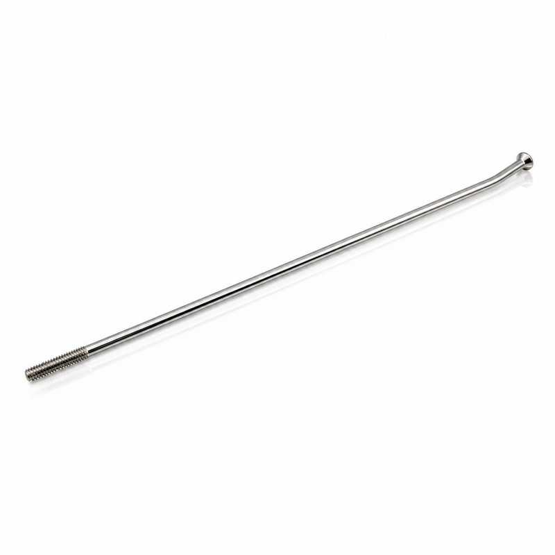 PROSTUF Stainless steel spoke - unit - Rear wheel 17" - Disc side - Silver